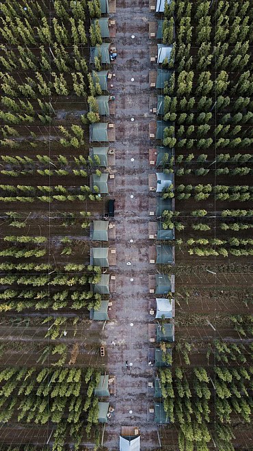 Nature Image 7